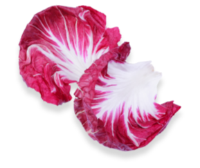 radicchio-icon