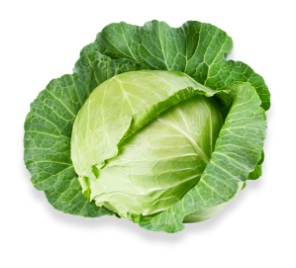 insalata