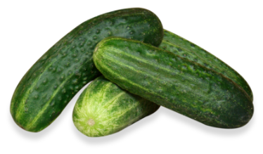 zucchine